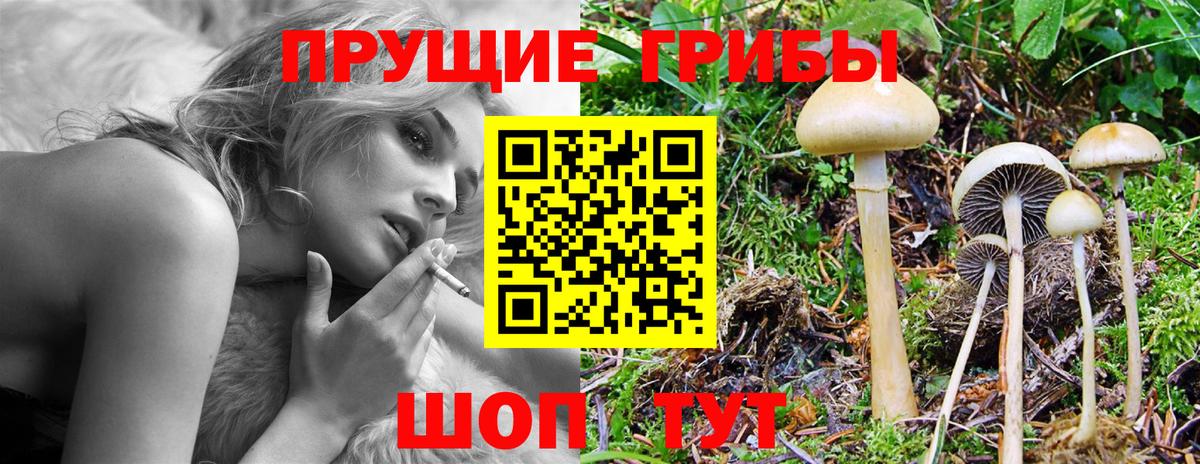 Галлюциногенные грибы мицелий  Псилоцибиновые грибы Psilocybine cubensis  Вход с VPN  Люберцы 